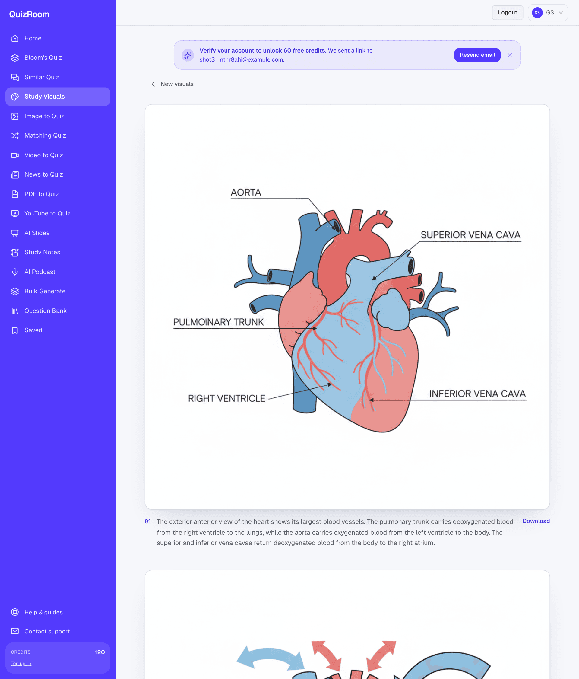 AI-generated labelled study diagrams of the human heart in QuizRoom's Study Visuals.